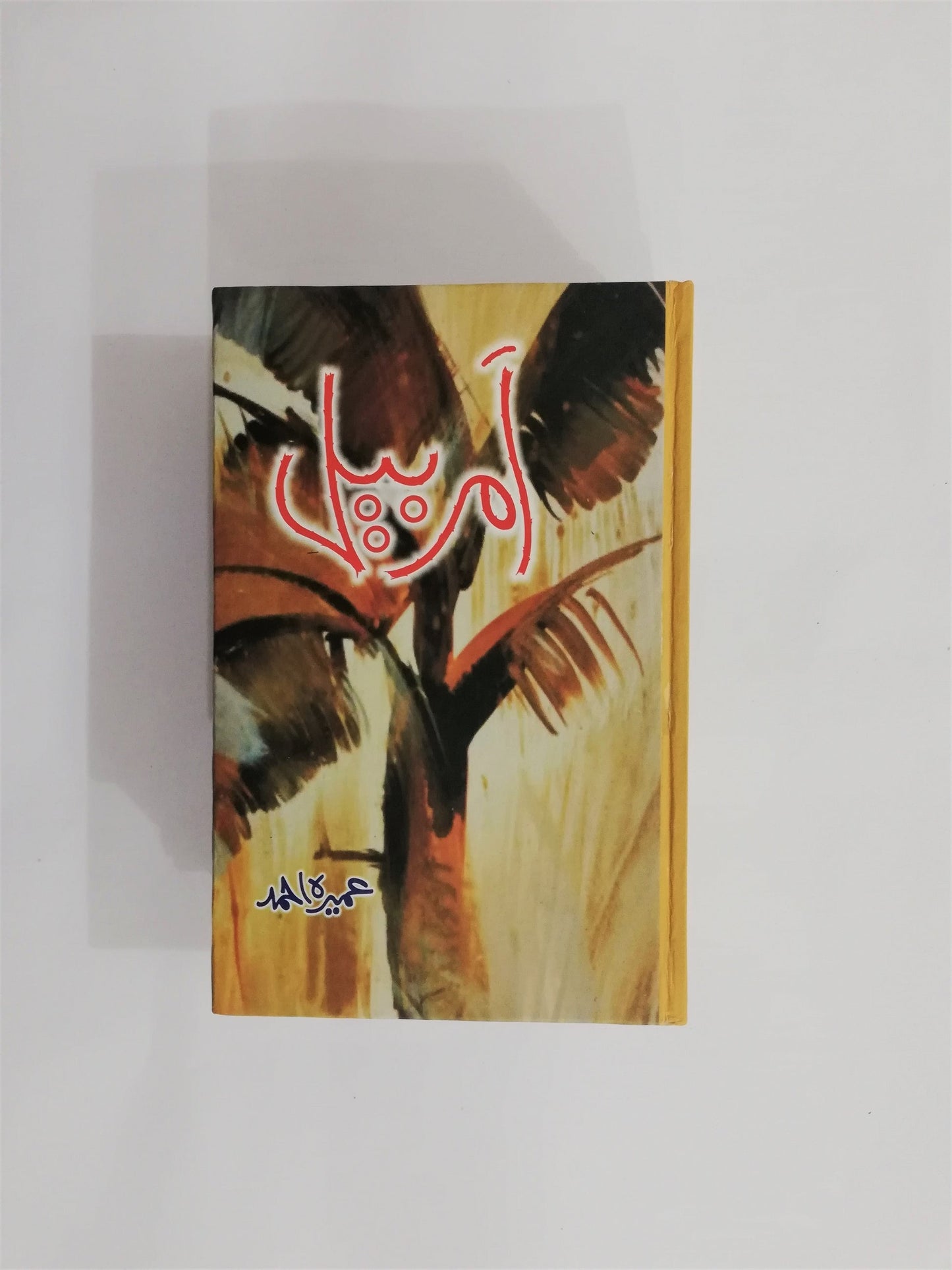 Amar Bail By Umera Ahmed / امربیل