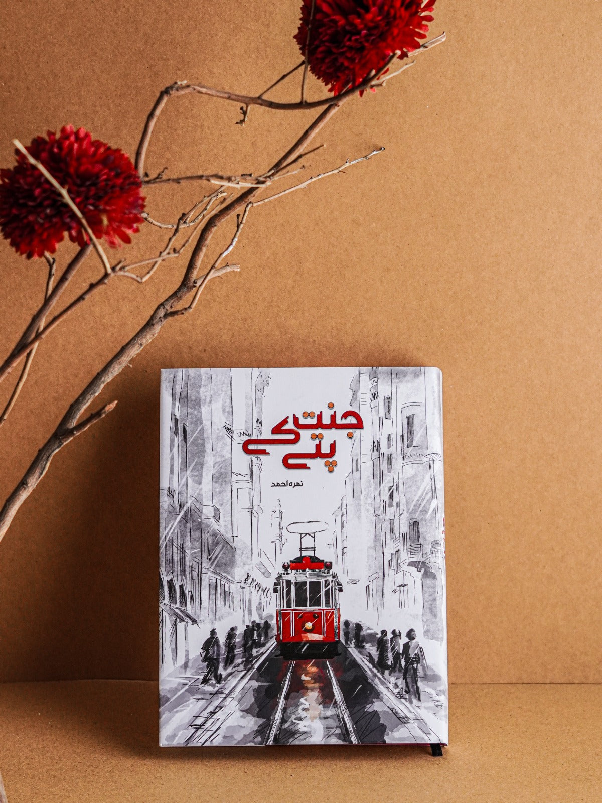 Jannat Kay Patay by Nimra Ahmed / جنت کے پتے